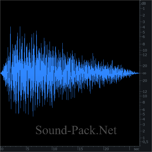 waveform