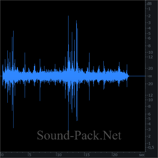 waveform