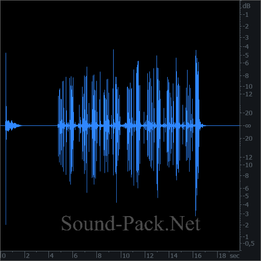 waveform