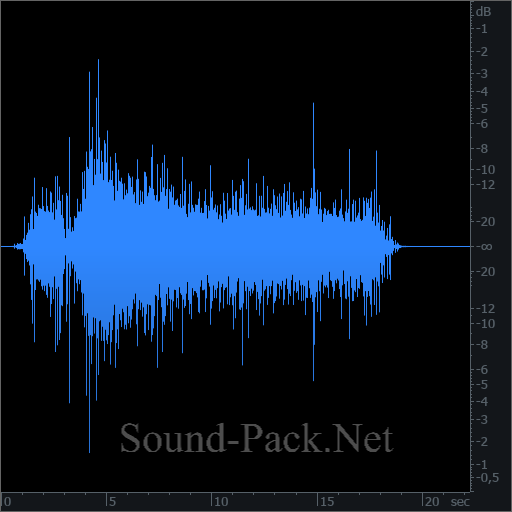 waveform