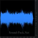 Группа мотоциклов Harley-Davidson: медленный проезд мимо