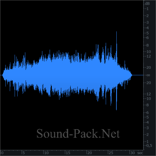 waveform