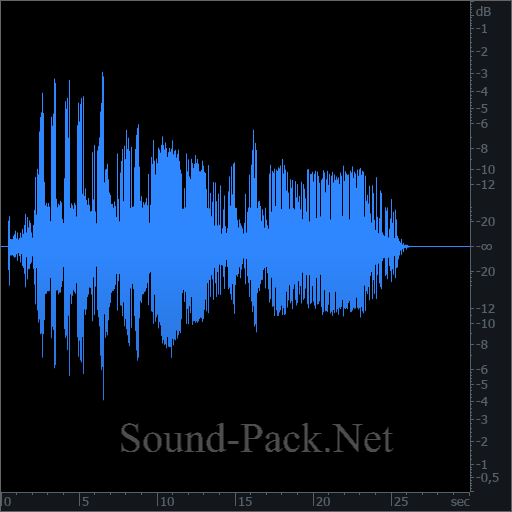 waveform