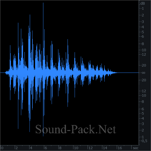 waveform