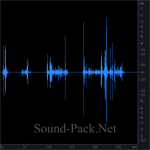 waveform