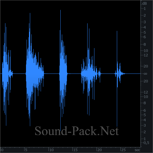 waveform