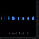 Полицейский свисток