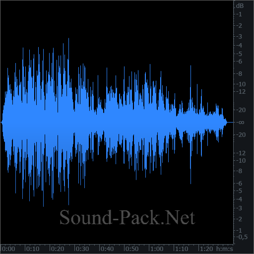 waveform