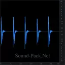 5 выстрелов из пистолета Ругер, Ruger