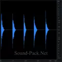 Несколько мощных выстрелов из пистолета с эффектом эхо