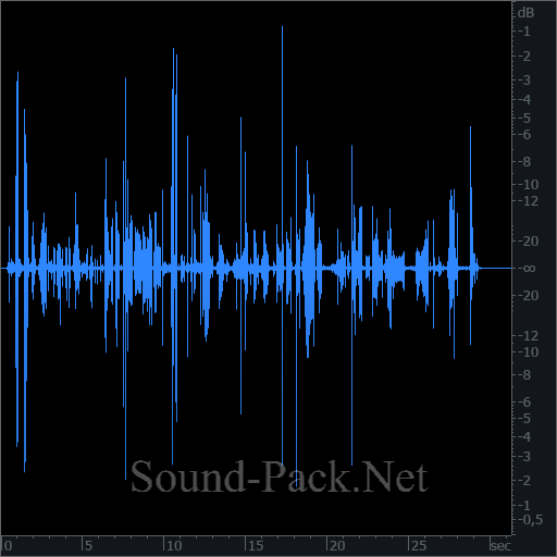 waveform