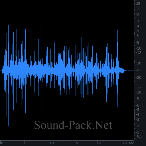 waveform