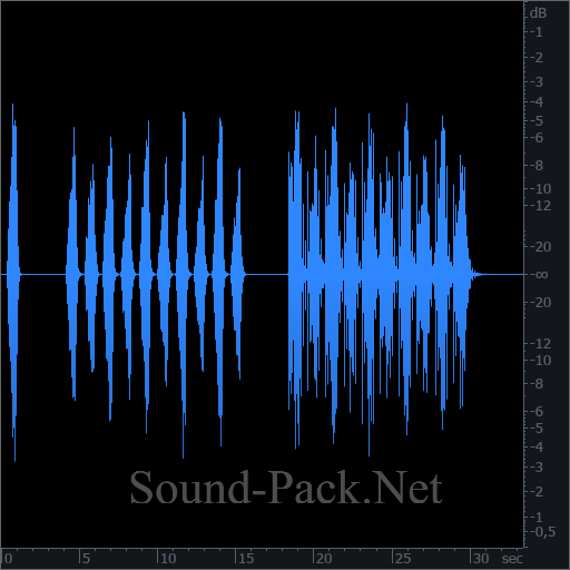 waveform