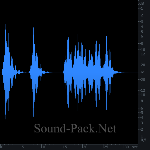 waveform