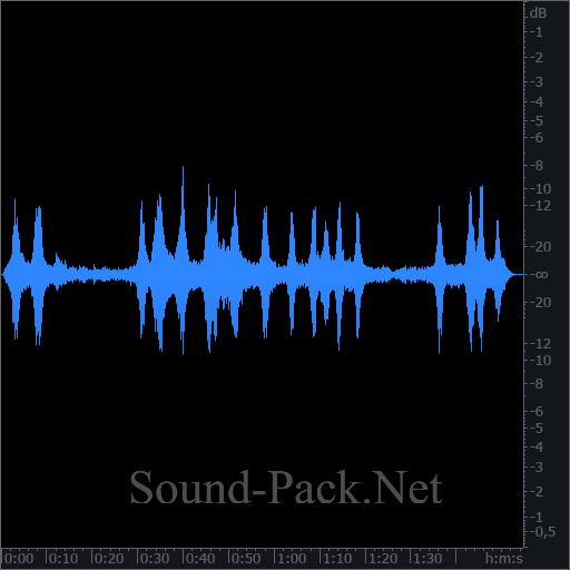 waveform