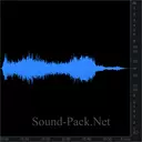 Гонки FORMULA-1: остановка машин, слова диктора, шум толпы