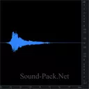 Гонки FORMULA-1: финишная прямая, одна машина