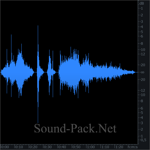 waveform