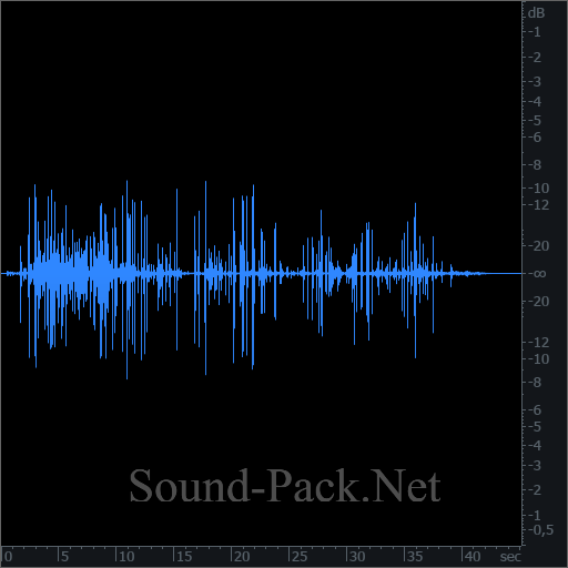 waveform