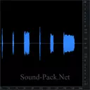 Свисток полицейского