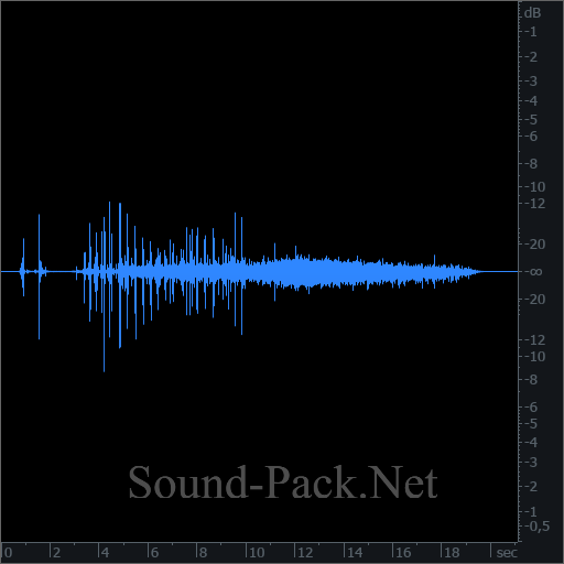 waveform