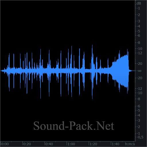 waveform