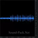 Легкий ветерок в лесу, пение птиц