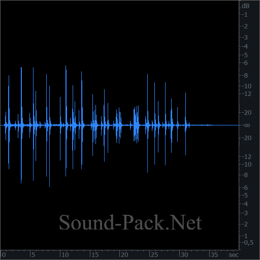 waveform