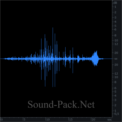 waveform