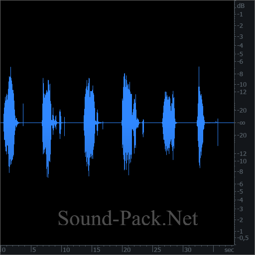 waveform