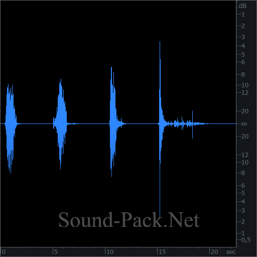 waveform