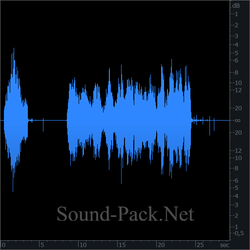 waveform