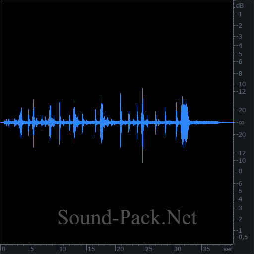 waveform