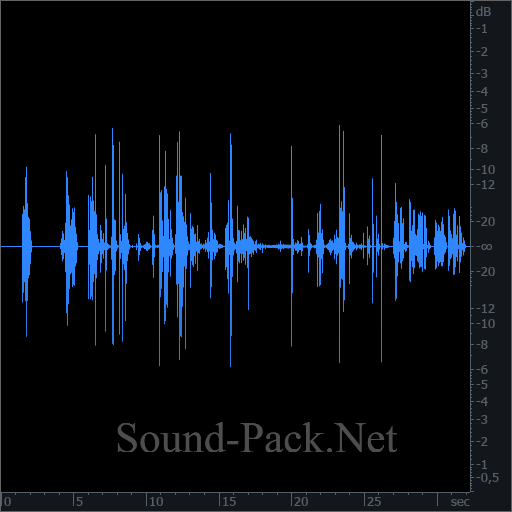 waveform