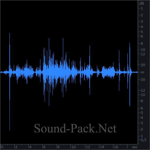 waveform