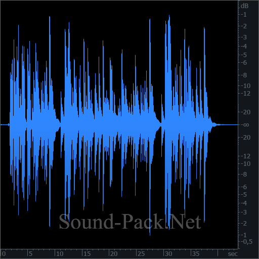 waveform