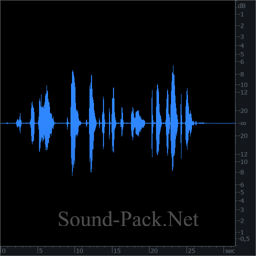 waveform