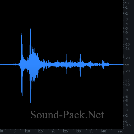 waveform