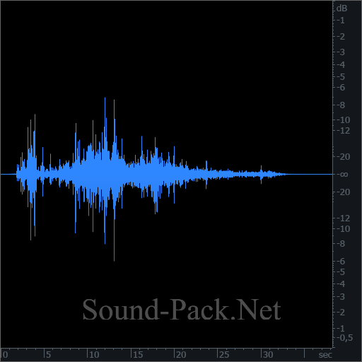 waveform