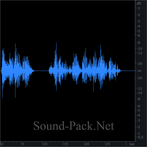 waveform