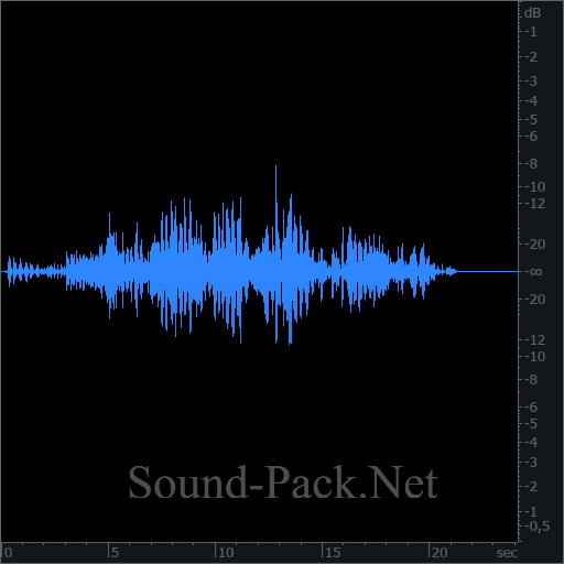 waveform