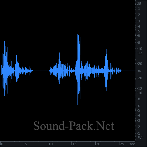 waveform