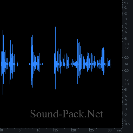 waveform