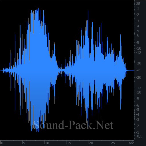 waveform