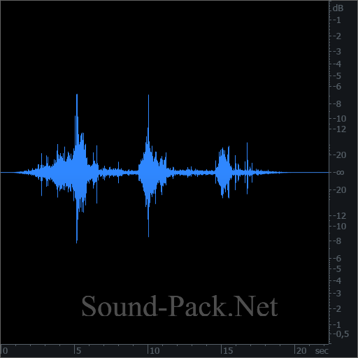 waveform