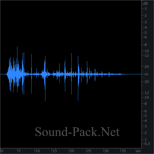 waveform