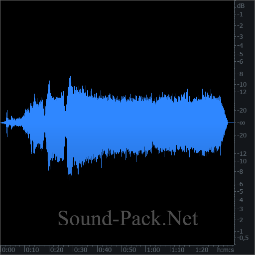 waveform