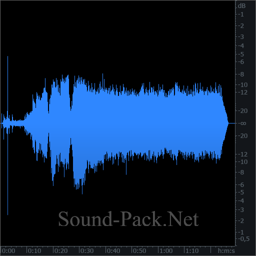 waveform