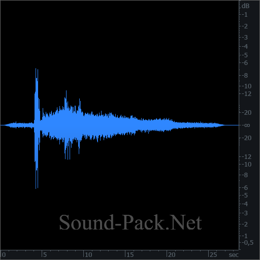 waveform