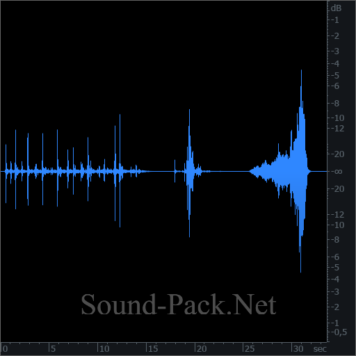 waveform